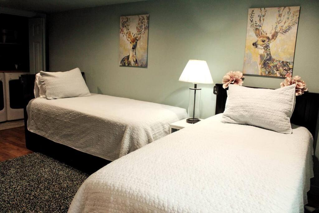 Heart Of Woodstock, 10 Min Walk To Reed, With Private Garage! Apartment พอร์ตแลนด์ ภายนอก รูปภาพ